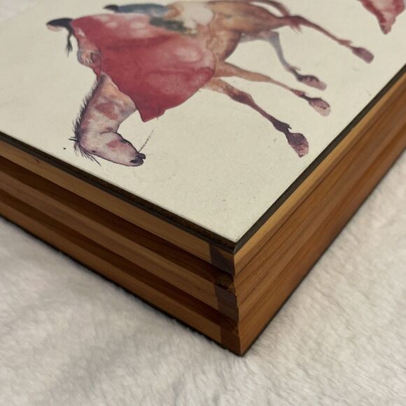 Carol Grigg Native American Art red Velvet Lined Cedar Box/jewelry box 2 1/2x9x6 - Picture 6 of 9